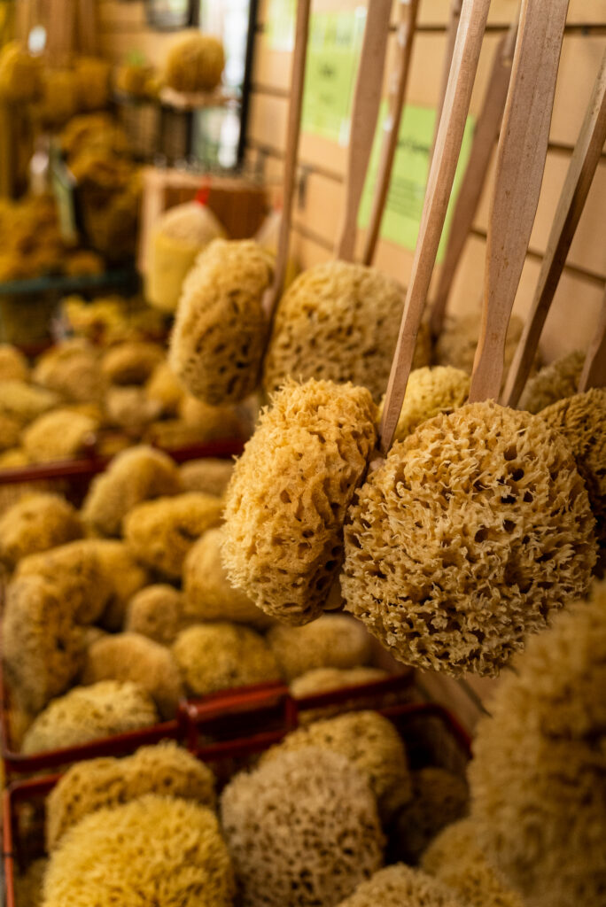 Natural sea sponges hanging on display at Lori's Soap & Sponge Market, John's Pass