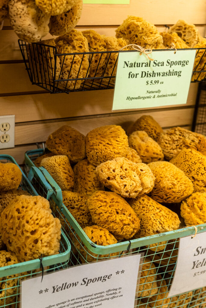 Baskets of natural Gulf sea sponges for sale at Lori's Soap & Sponge Market