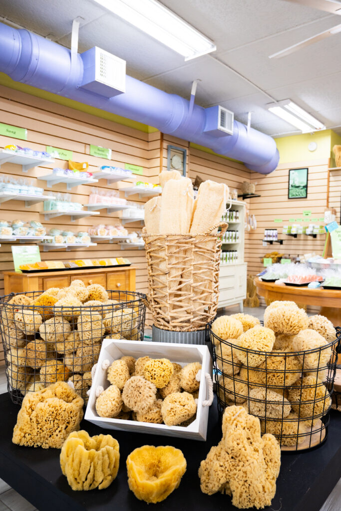 Display of natural sea sponges and loofahs in the shop