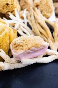 Natural sea sponge with handmade soap bar