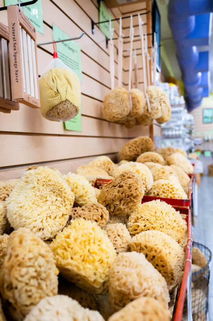 Natural sea sponges hanging on hooks