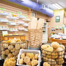 Display of natural sea sponges and loofahs in the shop