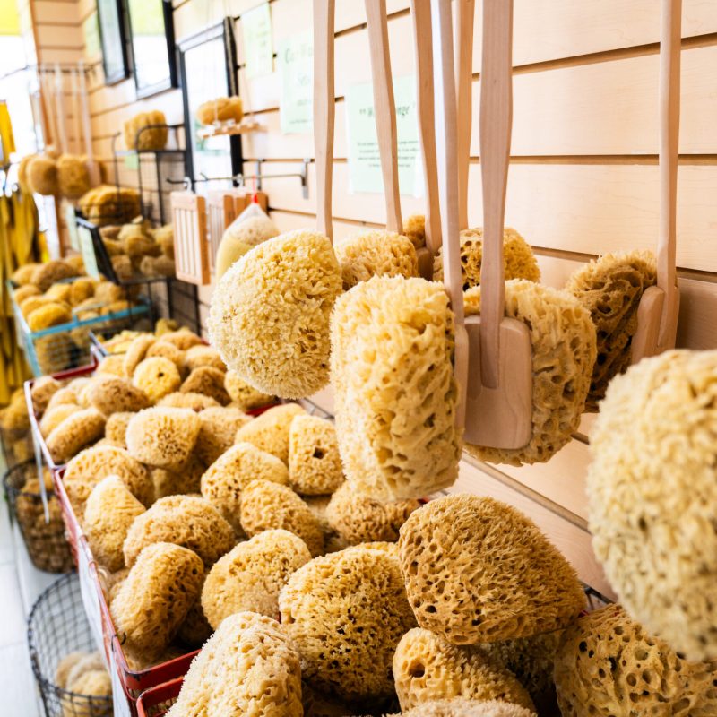 Wool sea sponges and loofahs on display in John's Pass