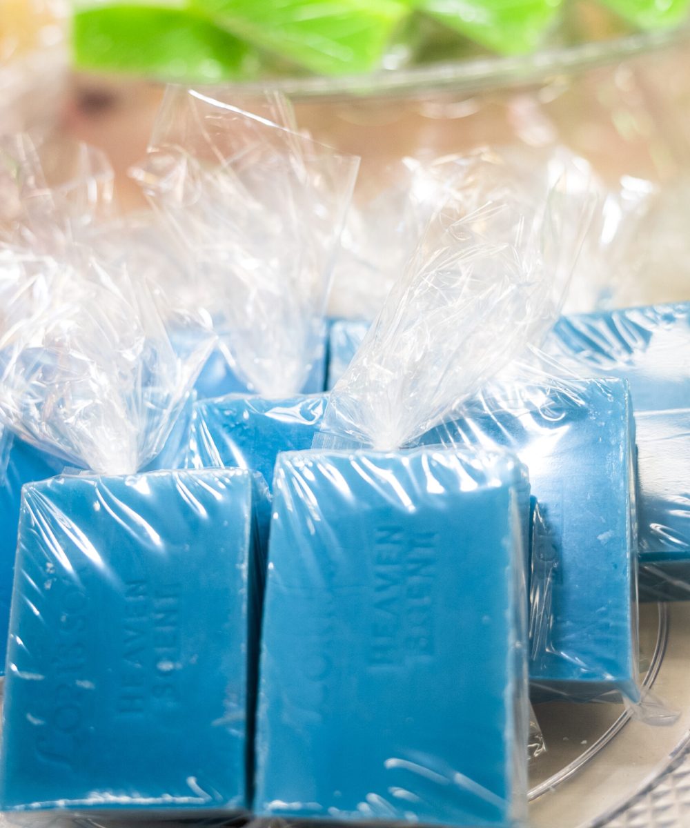 LORI's SOAPS (1 of 89)