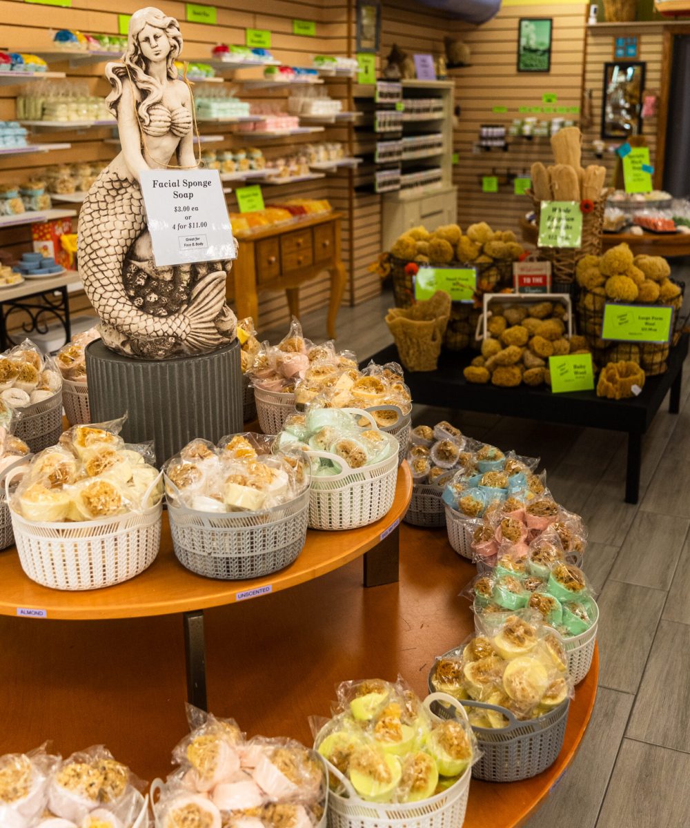 LORI's SOAPS (11 of 89)