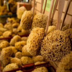 Natural sea sponges hanging on display at Lori's Soap & Sponge Market, John's Pass