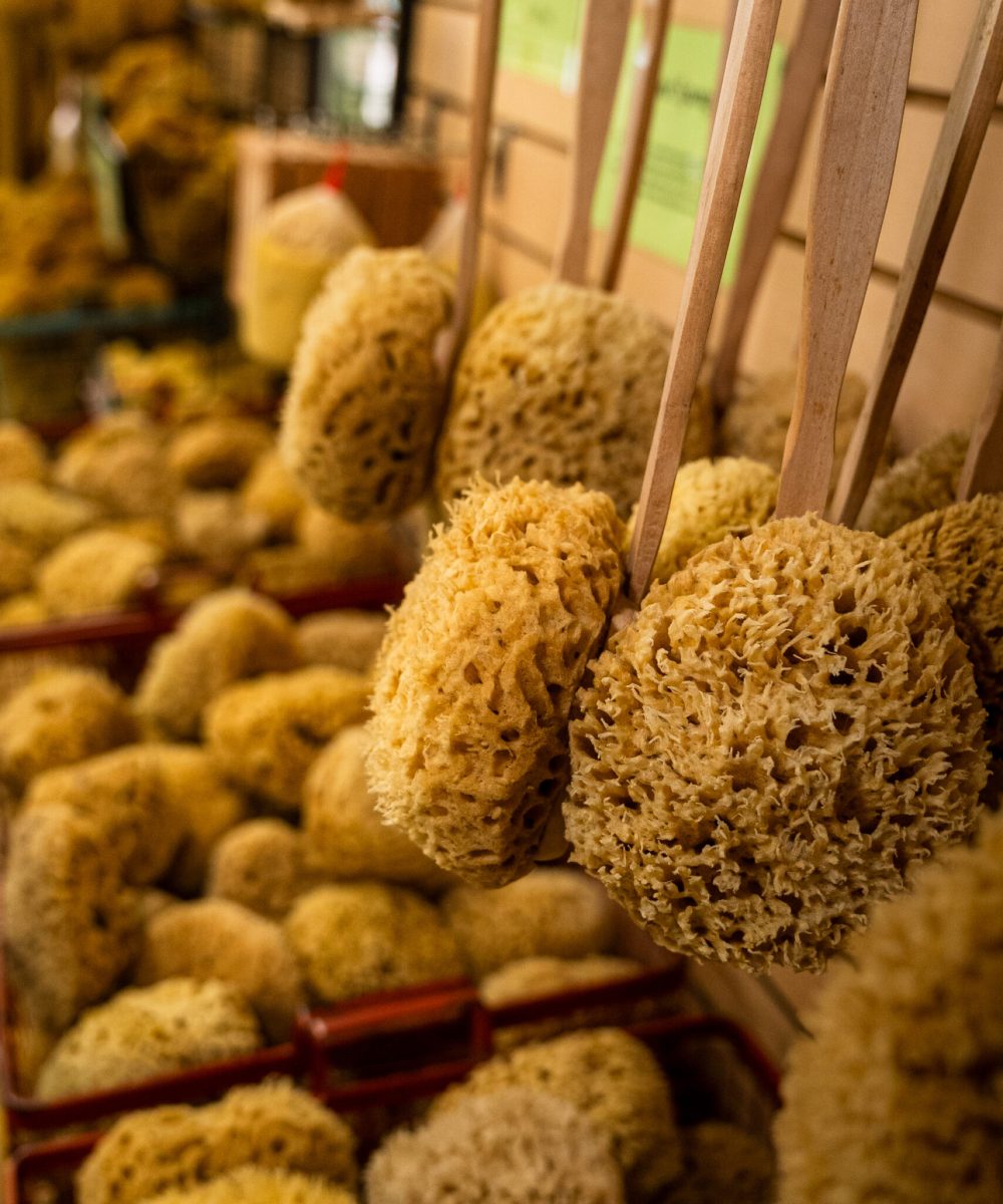 LORI's SOAPS (6 of 89)