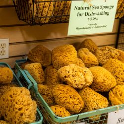 Baskets of natural Gulf sea sponges for sale at Lori's Soap & Sponge Market