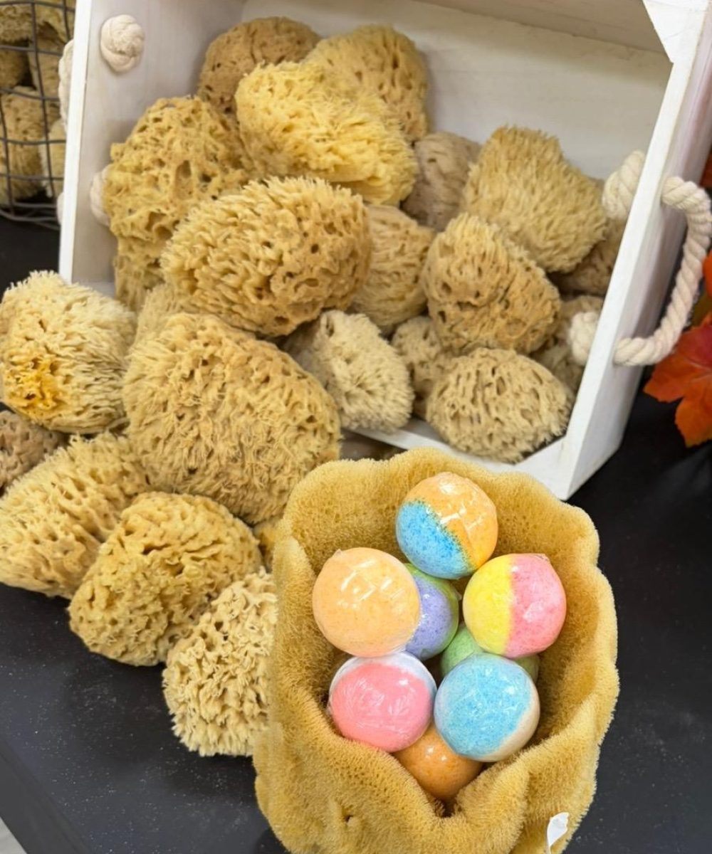 WhatsApp Image 2025-11-06 at 2.16.22 PM (3)